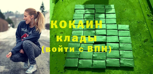 гашик Дмитриев