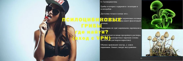 шишки Беломорск
