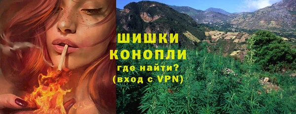 mix Богородск