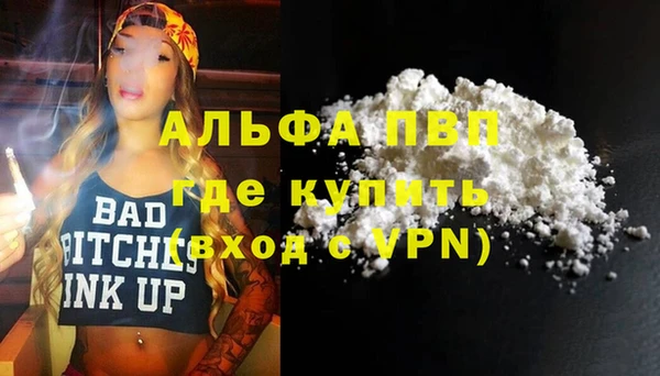 шишки Беломорск