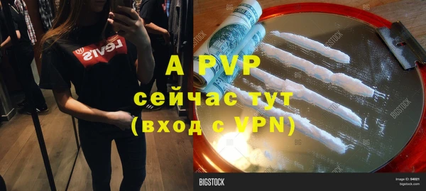 соль ск Богданович