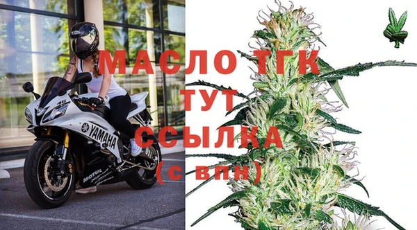 соль ск Богданович