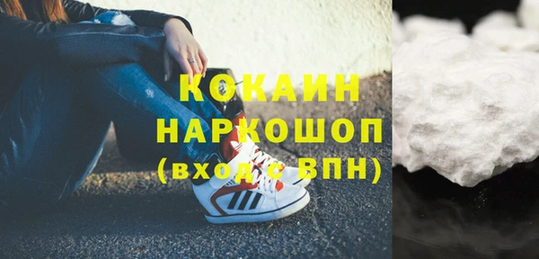 шишки Беломорск
