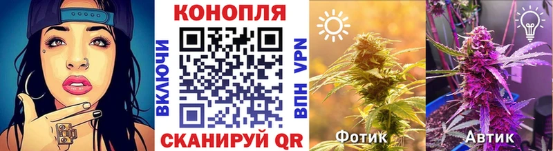 Конопля VHQ  наркотики  Сковородино 